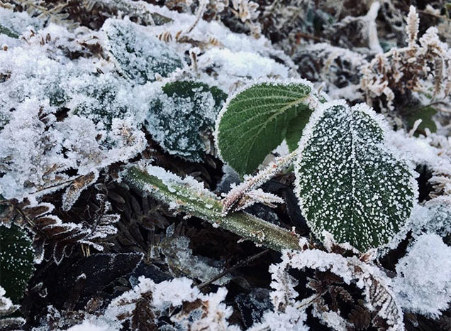 How Can We Harness Winter?