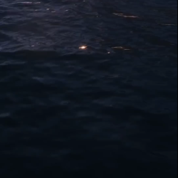 Multisensorial Meditation: A Trip To The Depths Of The Ocean