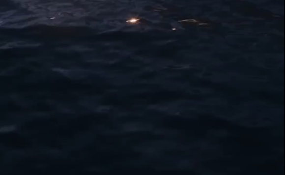 Multisensorial Meditation: A Trip To The Depths Of The Ocean