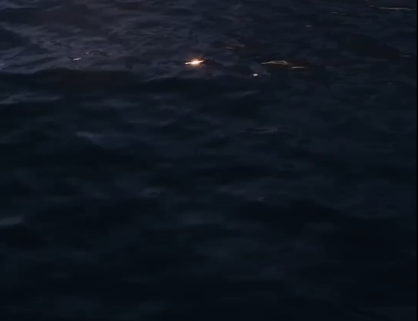 Multisensorial Meditation: A Trip To The Depths Of The Ocean Multisensorial Meditation: A Trip To The Depths Of The Ocean
