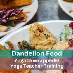 Q&A: Yoga Teacher Training: What food is available?