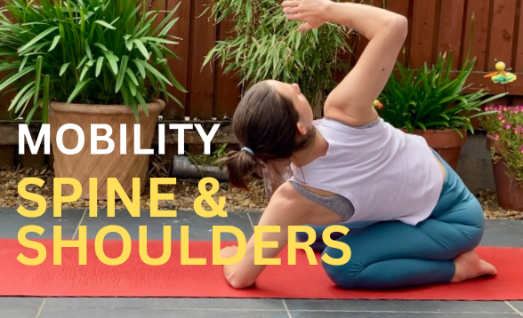 Mobility for the Thoracic Spine & Shoulders