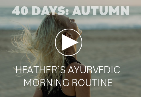 Autumn Vitality & Immunity Boost