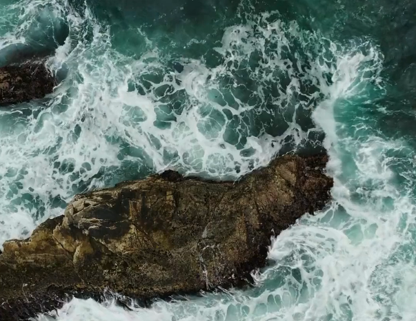 A Guided Visit To The Depths Of The Sea