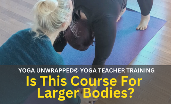 Is This Course For Larger Bodies?