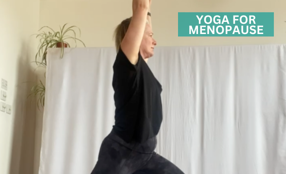 The Perimenopause & Menopause Journey