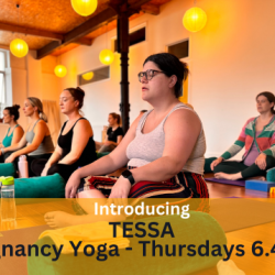 Pregnancy Yoga at Heather Yoga