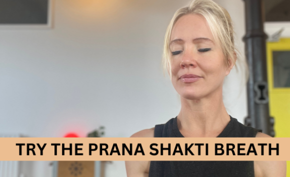 Try The Prana Shakti Breath