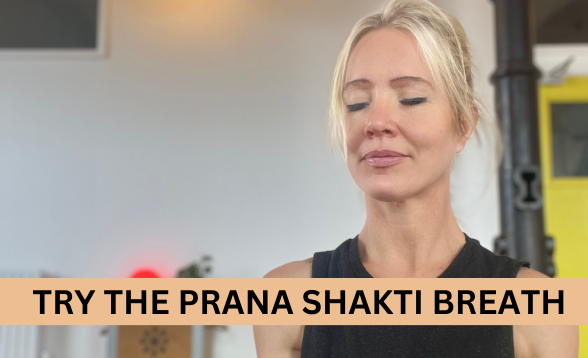 Try The Prana Shakti Breath