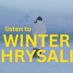 A Journey Into The Winter Chrysalis