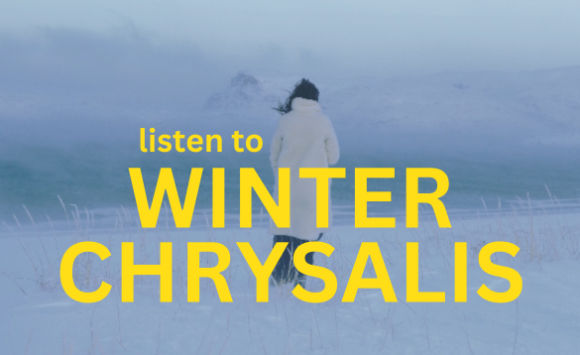 A Journey Into The Winter Chrysalis