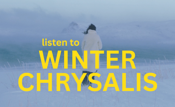 A Journey Into The Winter Chrysalis