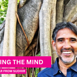Taming The Mind